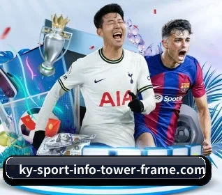 五大服务分区,信息按项目分类