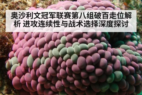 奥沙利文冠军联赛第八组破百走位解析 进攻连续性与战术选择深度探讨
