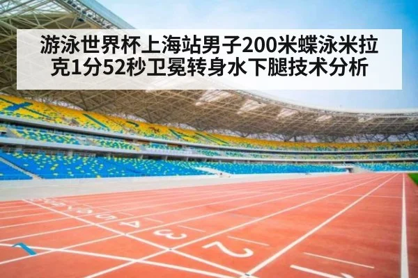 游泳世界杯上海站男子200米蝶泳米拉克1分52秒卫冕转身水下腿技术分析