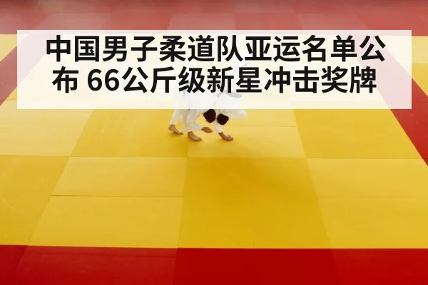 judo competition